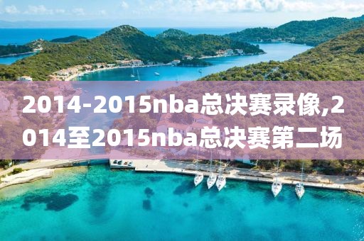 2014-2015nba总决赛录像,2014至2015nba总决赛第二场