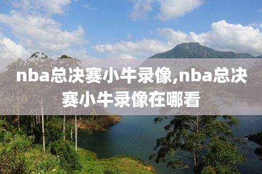 nba总决赛小牛录像,nba总决赛小牛录像在哪看
