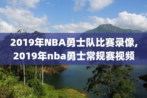 2019年NBA勇士队比赛录像,2019年nba勇士常规赛视频