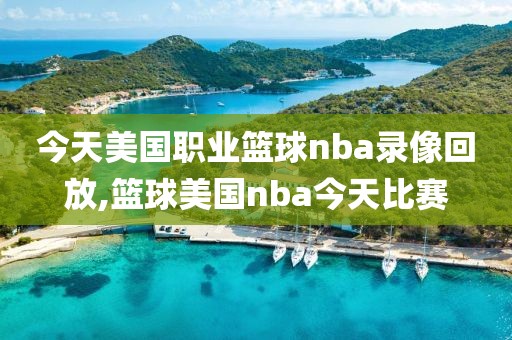 今天美国职业篮球nba录像回放,篮球美国nba今天比赛