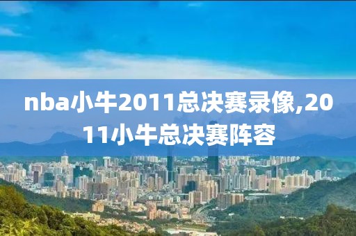 nba小牛2011总决赛录像,2011小牛总决赛阵容