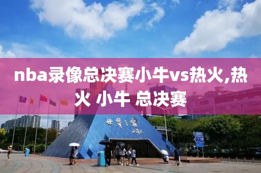 nba录像总决赛小牛vs热火,热火 小牛 总决赛