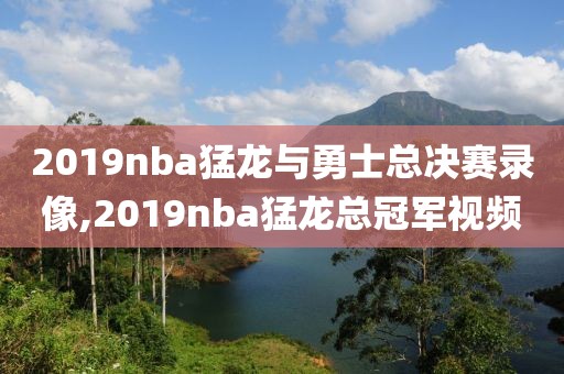 2019nba猛龙与勇士总决赛录像,2019nba猛龙总冠军视频