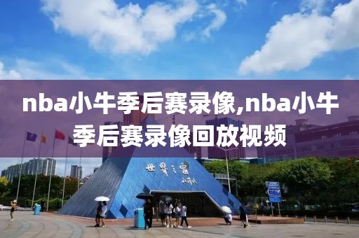 nba小牛季后赛录像,nba小牛季后赛录像回放视频