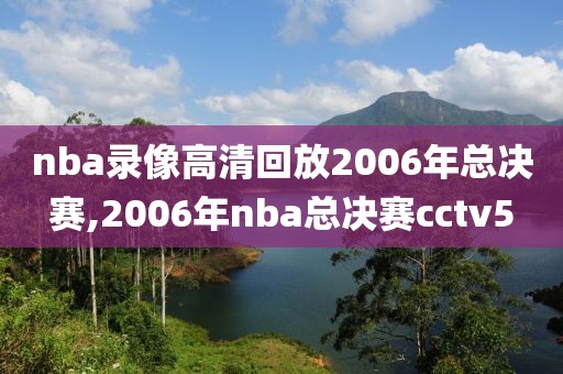 nba录像高清回放2006年总决赛,2006年nba总决赛cctv5
