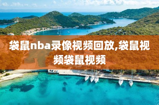 袋鼠nba录像视频回放,袋鼠视频袋鼠视频