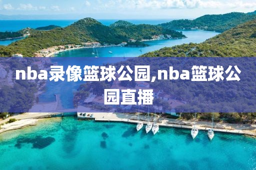 nba录像篮球公园,nba篮球公园直播