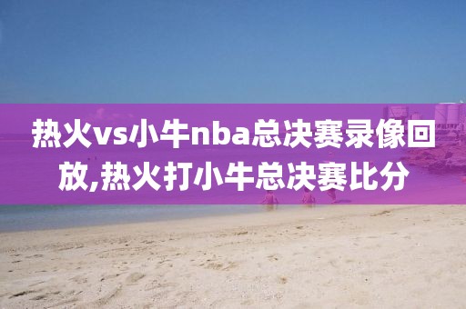 热火vs小牛nba总决赛录像回放,热火打小牛总决赛比分