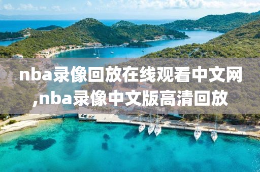 nba录像回放在线观看中文网,nba录像中文版高清回放