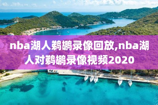 nba湖人鹈鹕录像回放,nba湖人对鹈鹕录像视频2020