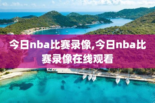 今日nba比赛录像,今日nba比赛录像在线观看
