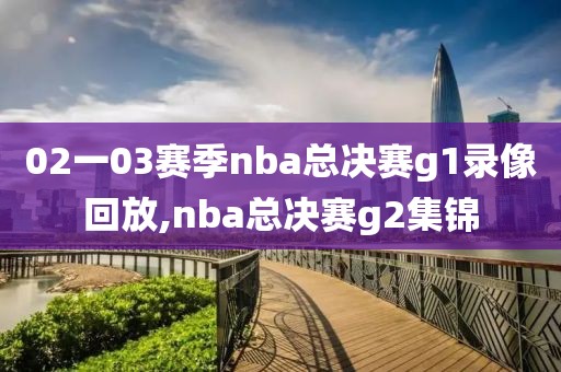 02一03赛季nba总决赛g1录像回放,nba总决赛g2集锦