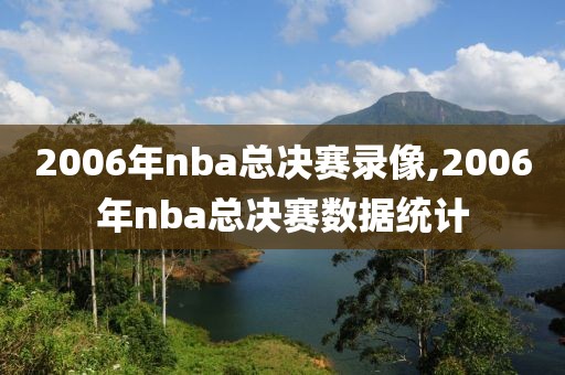 2006年nba总决赛录像,2006年nba总决赛数据统计
