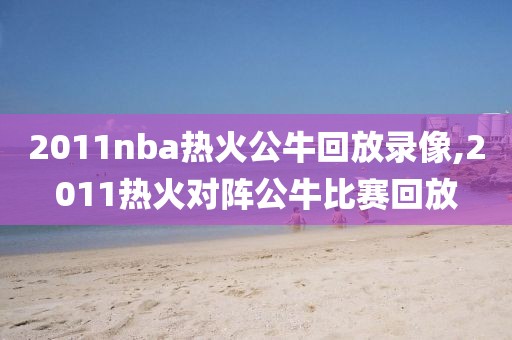 2011nba热火公牛回放录像,2011热火对阵公牛比赛回放